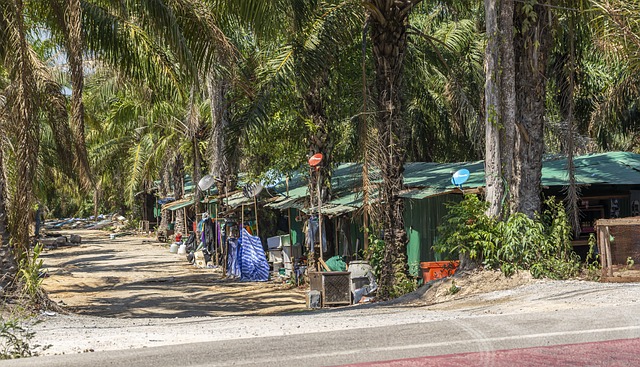 africký slum